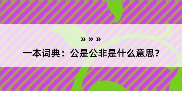 一本词典：公是公非是什么意思？