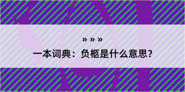 一本词典：负柩是什么意思？