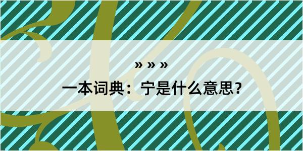 一本词典：宁是什么意思？