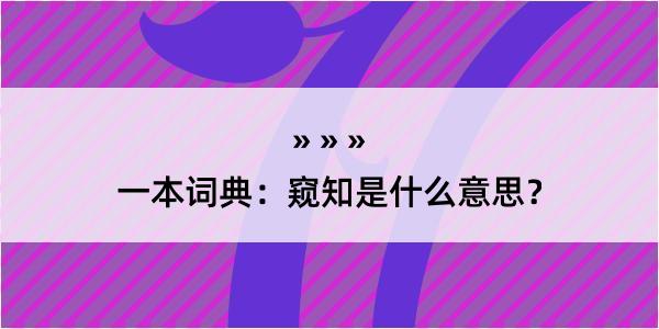 一本词典：窥知是什么意思？