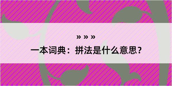 一本词典：拼法是什么意思？