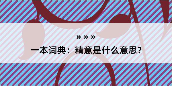 一本词典：精意是什么意思？