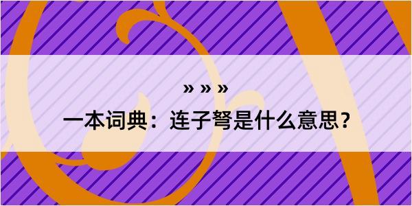 一本词典：连子弩是什么意思？