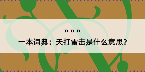 一本词典：天打雷击是什么意思？