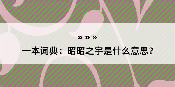 一本词典：昭昭之宇是什么意思？