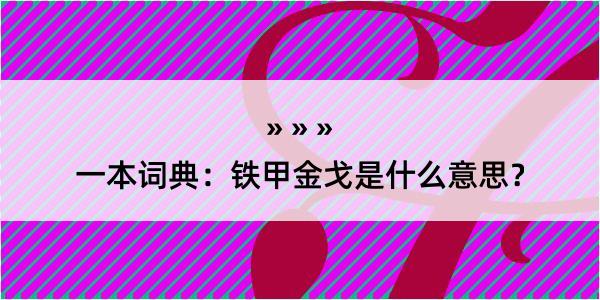 一本词典：铁甲金戈是什么意思？