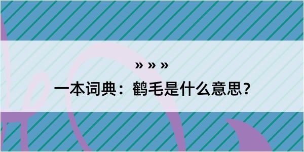 一本词典：鹤毛是什么意思？