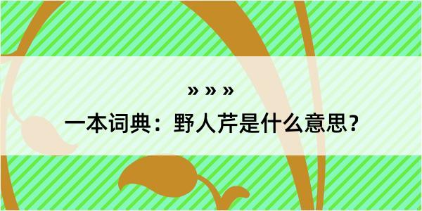 一本词典：野人芹是什么意思？