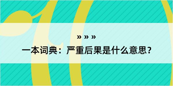 一本词典：严重后果是什么意思？