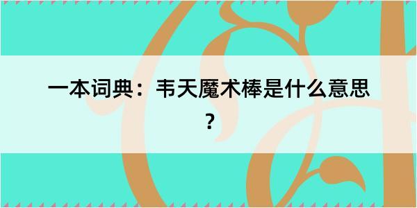 一本词典：韦天魔术棒是什么意思？