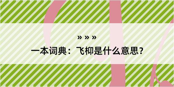 一本词典：飞枊是什么意思？