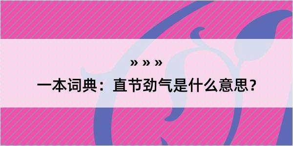 一本词典：直节劲气是什么意思？