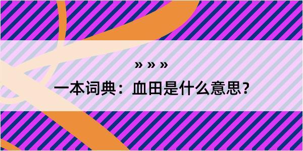 一本词典：血田是什么意思？