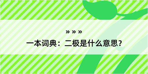 一本词典：二极是什么意思？