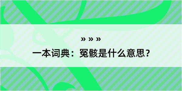 一本词典：冤骸是什么意思？