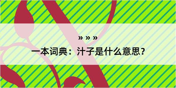 一本词典：汁子是什么意思？