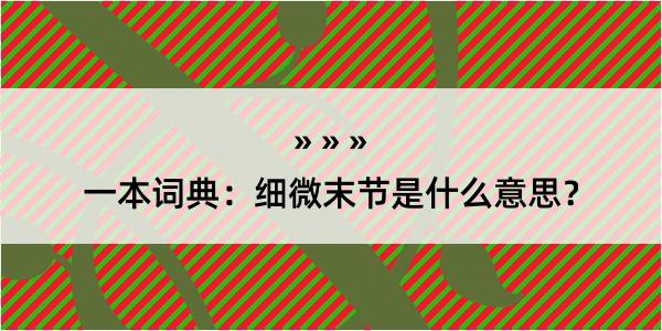 一本词典：细微末节是什么意思？