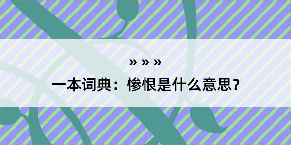 一本词典：惨恨是什么意思？