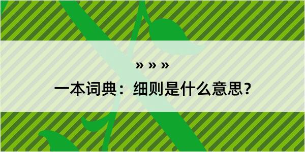 一本词典：细则是什么意思？