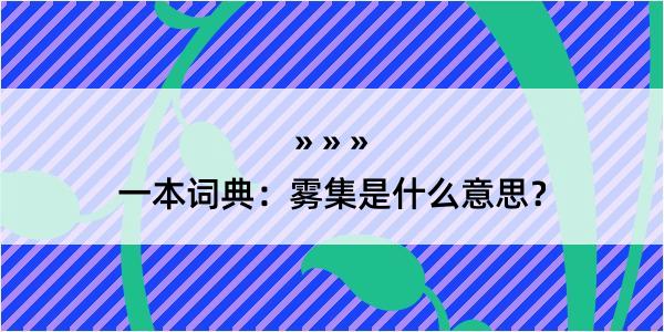 一本词典：雾集是什么意思？