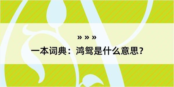 一本词典：鸿鸳是什么意思？