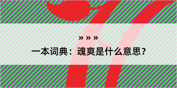 一本词典：魂爽是什么意思？