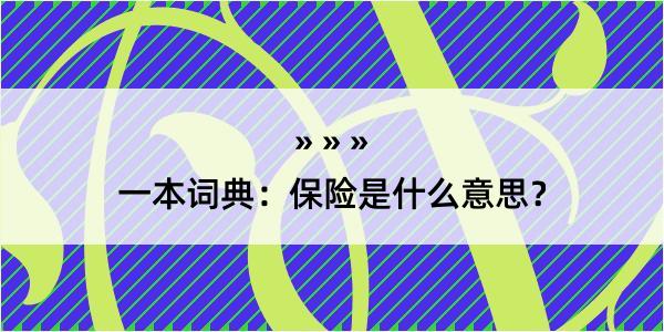 一本词典：保险是什么意思？