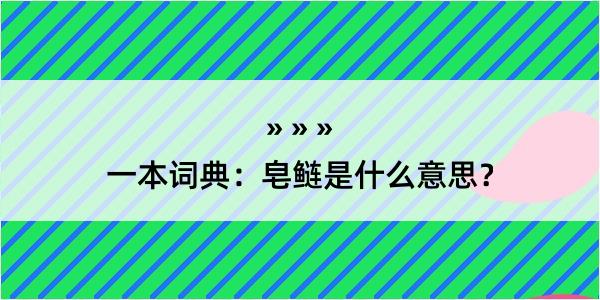 一本词典：皂鲢是什么意思？