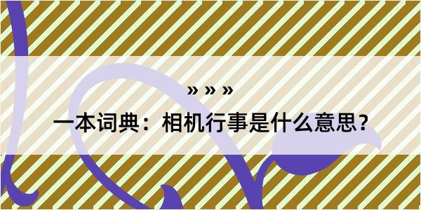 一本词典：相机行事是什么意思？