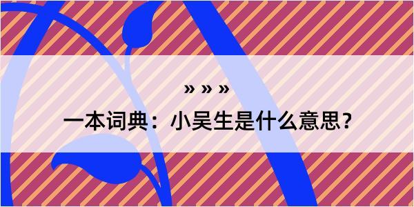 一本词典：小吴生是什么意思？