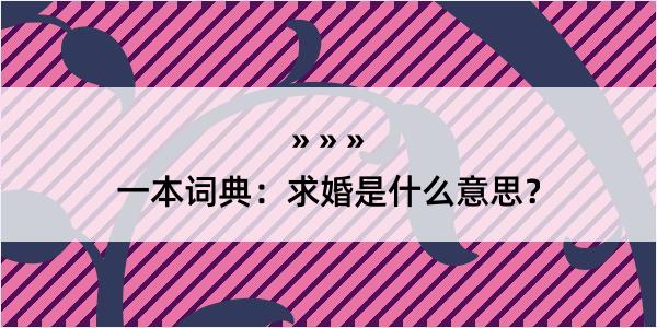 一本词典：求婚是什么意思？