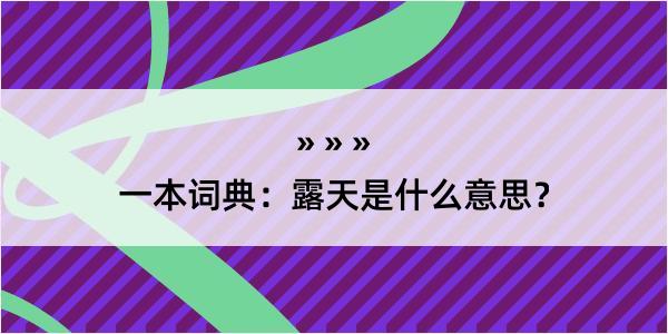 一本词典：露天是什么意思？