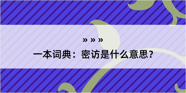 一本词典：密访是什么意思？