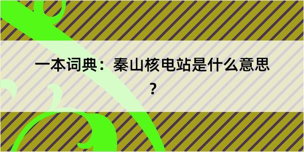 一本词典：秦山核电站是什么意思？