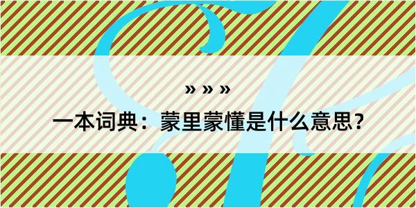 一本词典：蒙里蒙懂是什么意思？