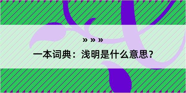 一本词典：浅明是什么意思？