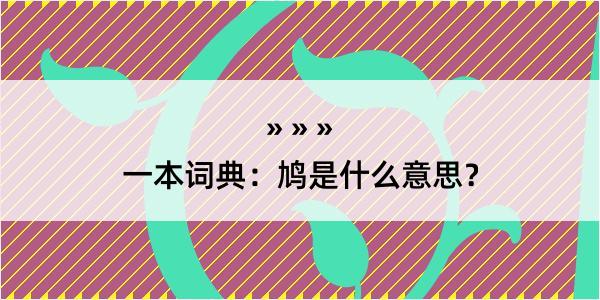 一本词典：鸠是什么意思？