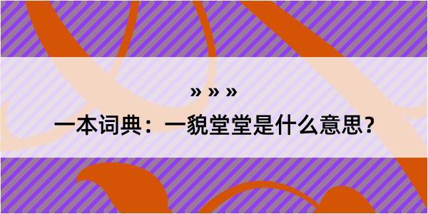 一本词典：一貌堂堂是什么意思？