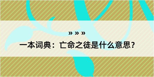 一本词典：亡命之徒是什么意思？