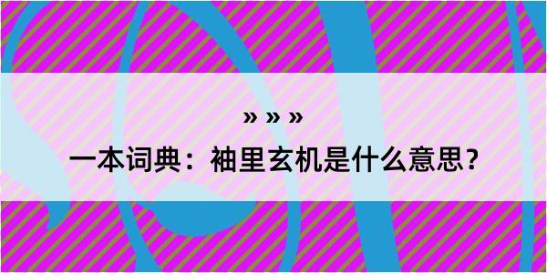 一本词典：袖里玄机是什么意思？