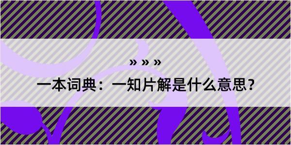 一本词典：一知片解是什么意思？