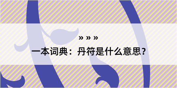 一本词典：丹符是什么意思？