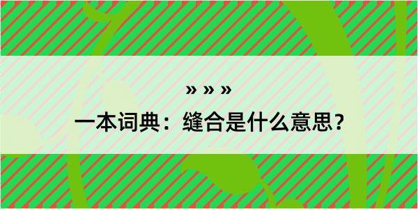 一本词典：缝合是什么意思？