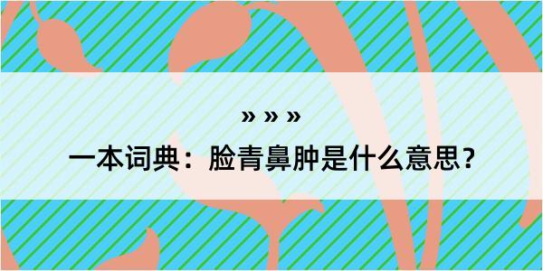 一本词典：脸青鼻肿是什么意思？