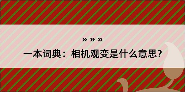 一本词典：相机观变是什么意思？