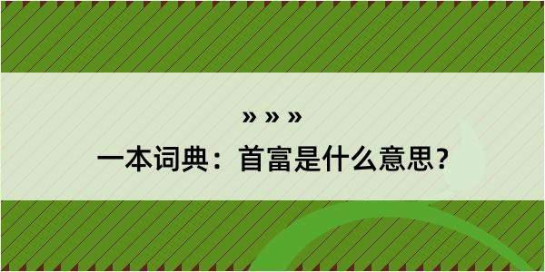 一本词典：首富是什么意思？