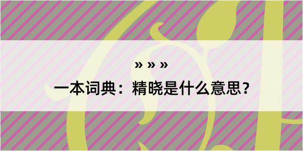 一本词典：精晓是什么意思？