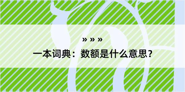 一本词典：数额是什么意思？