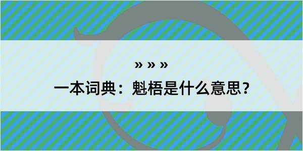 一本词典：魁梧是什么意思？