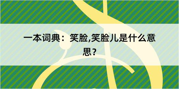 一本词典：笑脸,笑脸儿是什么意思？